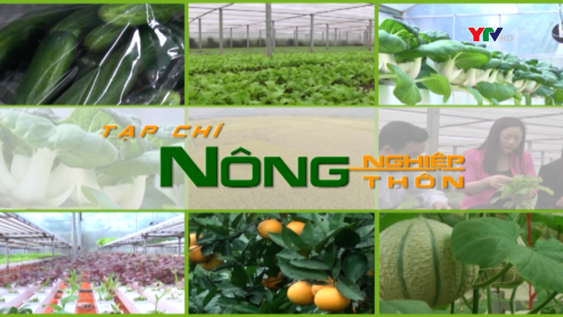 Đầu xuân nhìn lại những con số ấn tượng trong sản xuất nông nghiệp