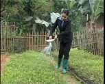 Kỹ thuật chăm sóc cây con trong vườn ươm