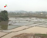 Nông dân xã Y Can huyện Trấn Yên xuống đồng sản xuất vụ đông xuân