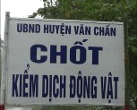 Huyện Văn Chấn thành lập chốt kiểm dịch động vật tại xã Minh An