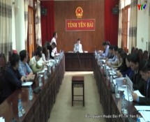 UBND tỉnh triển khai kế hoạch tổ chức lễ khởi công nhà máy ống thép Hoa Sen Yên Bái