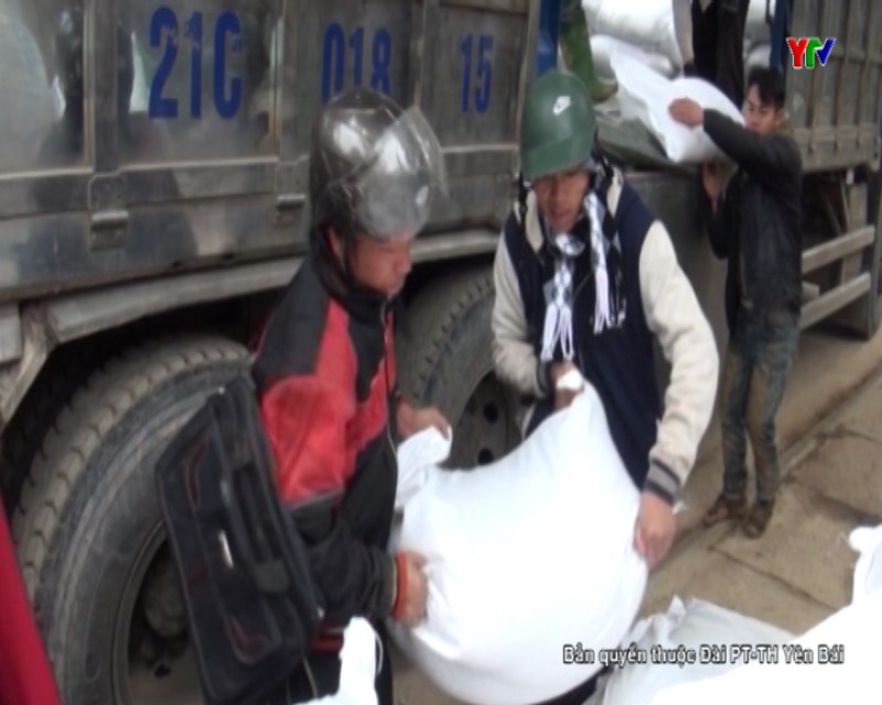Huyện Trạm Tấu tiếp nhận 41,7 tấn gạo cứu đói dịp Tết