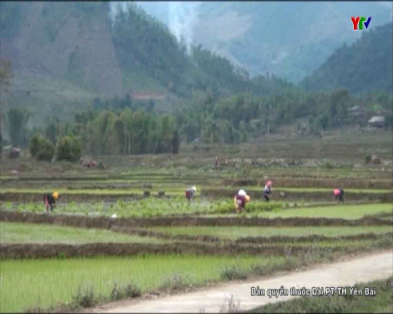 Nông dân huyện Văn Chấn ra quân sản xuất đầu xuân