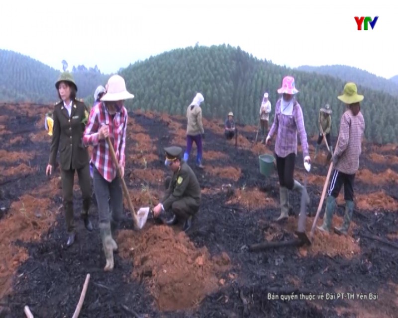 Yên Bình: Sôi nổi khí thế ra quân trồng rừng vụ xuân