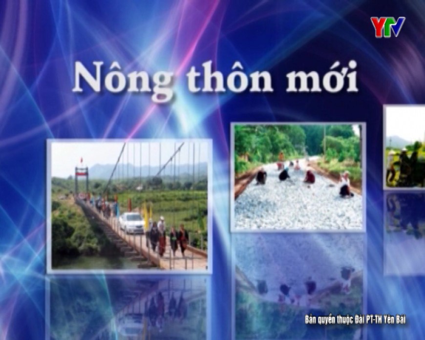 Việt Hồng thúc đẩy phát triển kinh tế hộ