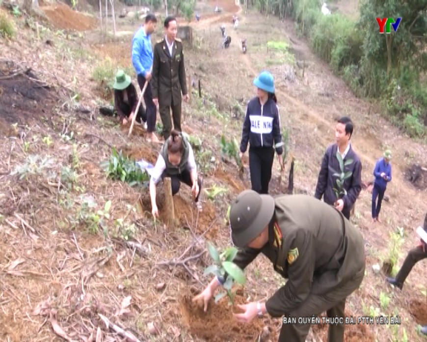 Sôi nổi phong trào trồng rừng vụ xuân tại huyện Lục Yên
