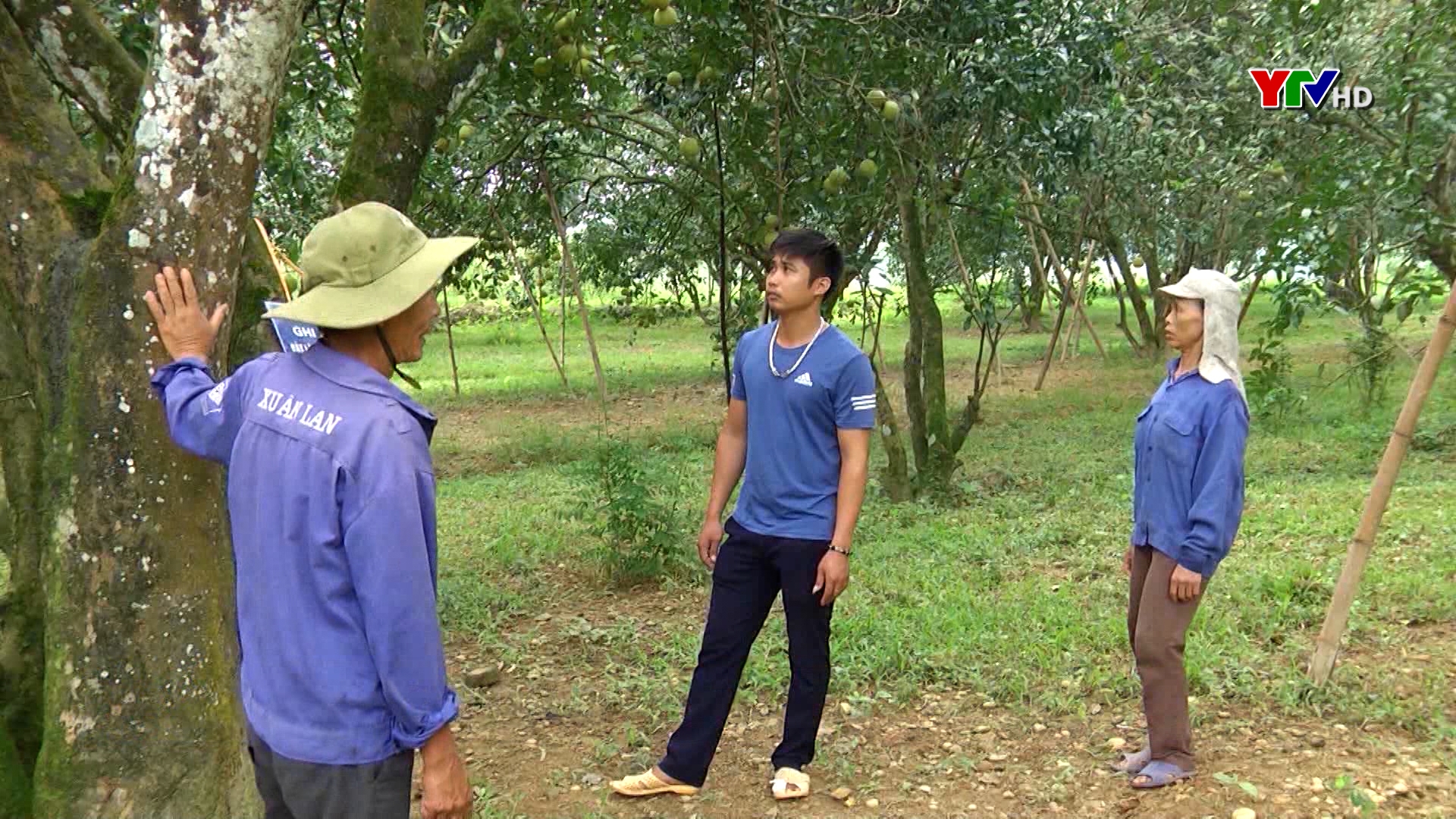 Hội viên nông dân huyện Yên Bình được vay trên 200 tỷ đồng để phát triển kinh tế