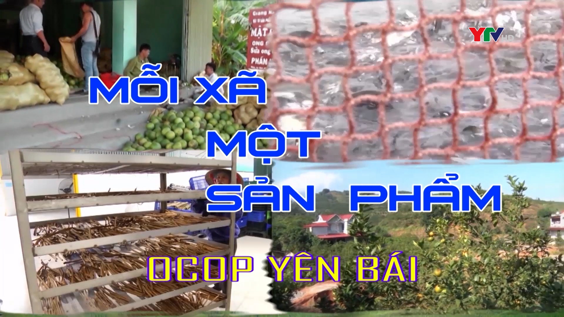 Nỗ lực đưa sản phẩm OCOP đến với người tiêu dùng