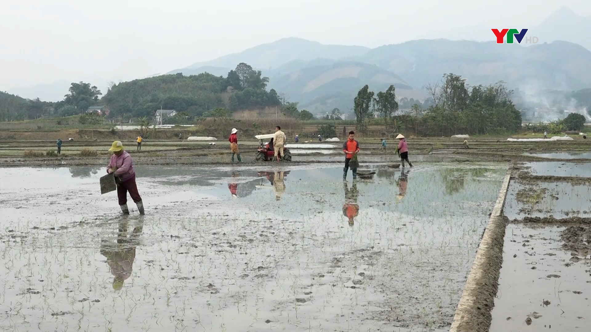 Nông dân Văn Yên quyết tâm giành vụ xuân thắng lợi