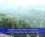 Phát triển kinh tế rừng ở huyện Trấn Yên(Tiếng Dao)