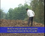 Hướng dẫn kỹ thuật canh tác sắn bền vững trên đất dốc (Tiếng Mông)