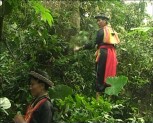 Huyện Lục Yên phấn đấu giao 13 nghìn ha đất rừng giai đoạn 2012 - 2015