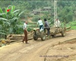Tân Đồng gắn xây dựng nông thôn mới với phát triển kinh tế