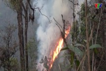 Cháy rừng tại xã Chế Tạo huyện Mù Cang Chải