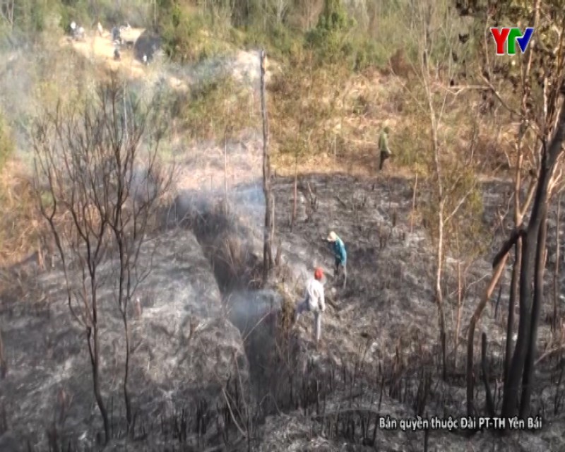 Cháy rừng tại xã Làng Nhì huyện Trạm Tấu