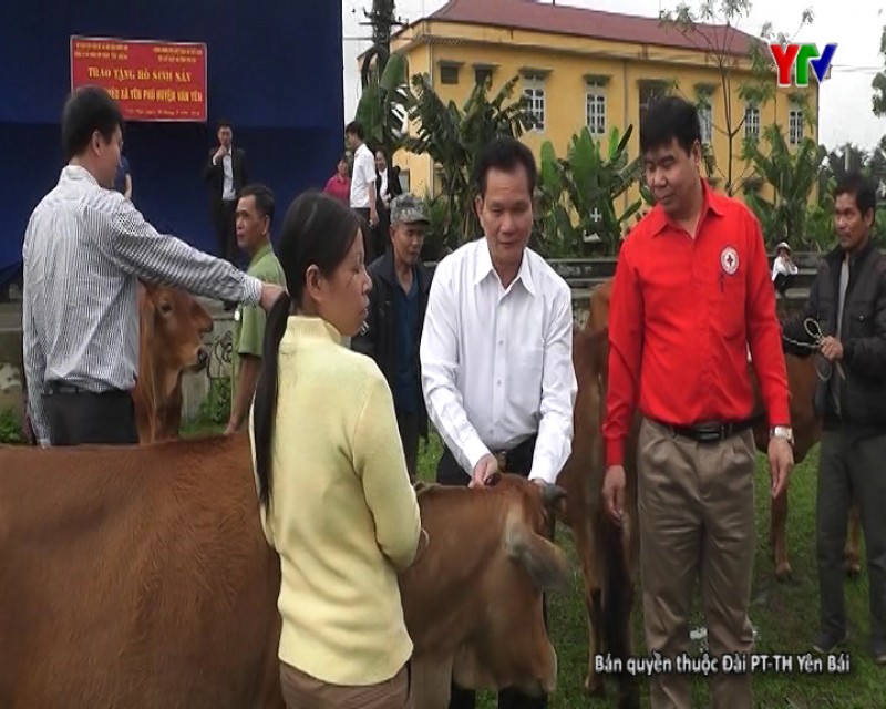 Đoàn công tác của Ủy ban các vấn đề xã hội của Quốc hội trao tặng bò cho các hộ nghèo huyện Văn Yên