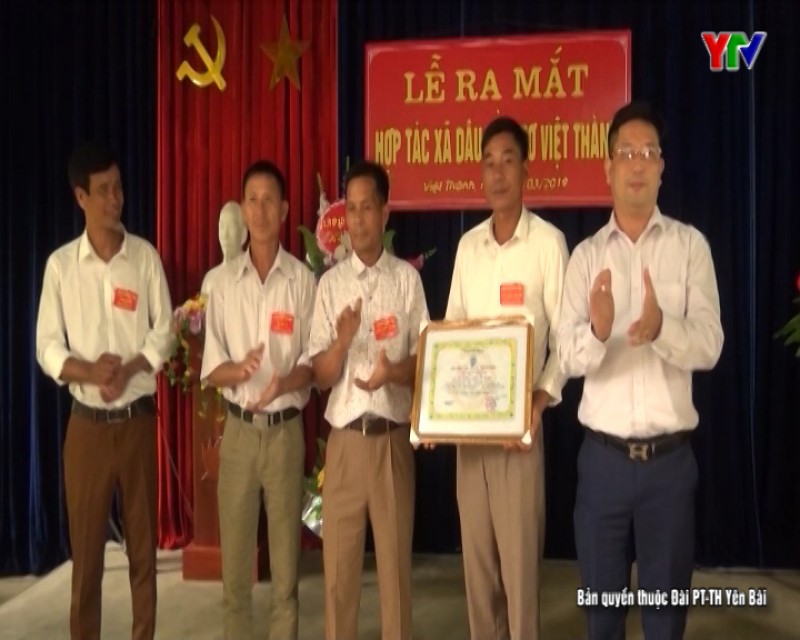 Ra mắt HTX Dâu tằm tơ Việt Thành, huyện Trấn Yên