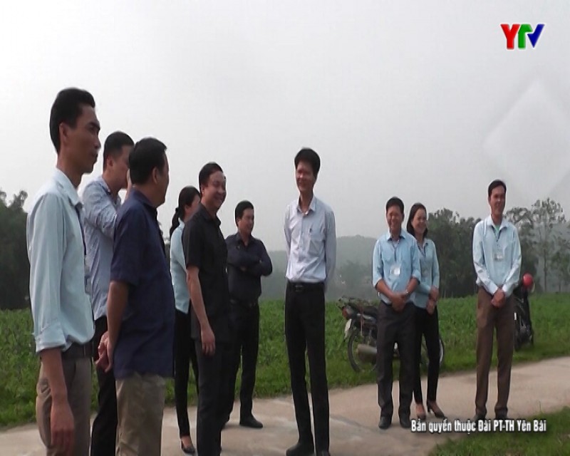 Kiểm tra việc triển khai thực hiện Chương trình hành động số 144 của Tỉnh ủy Yên Bái tại huyện Trấn Yên