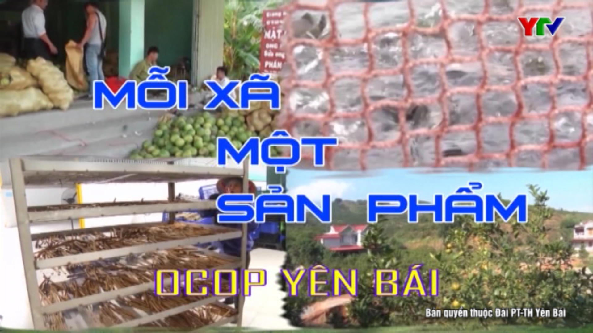Xã Minh Bảo, thành phố Yên Bái phát triển nghề nuôi ong