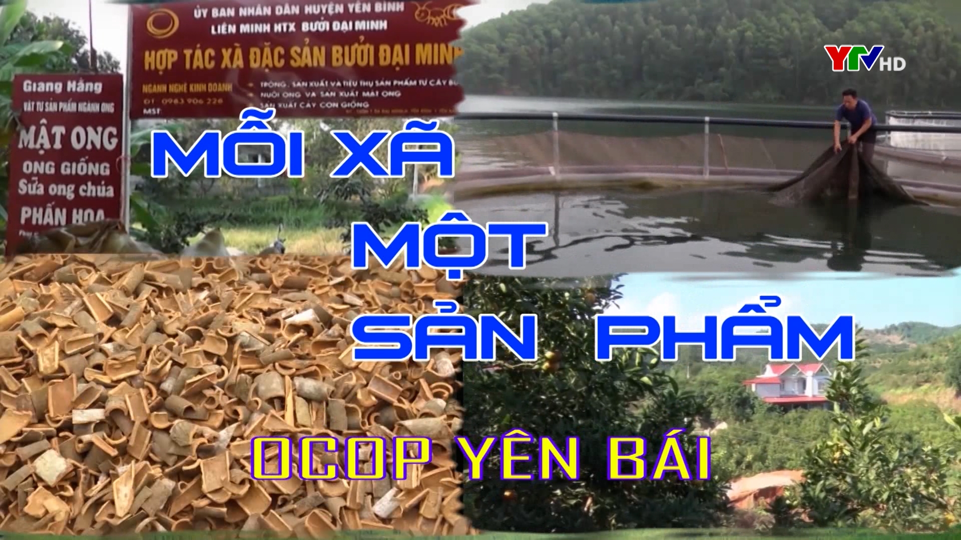Hưng Khánh xây dựng thương hiệu chè Bát Tiên