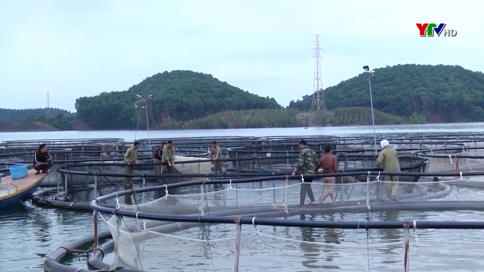 Yên Bái: Sản lượng thủy sản đạt gần 3 nghìn tấn