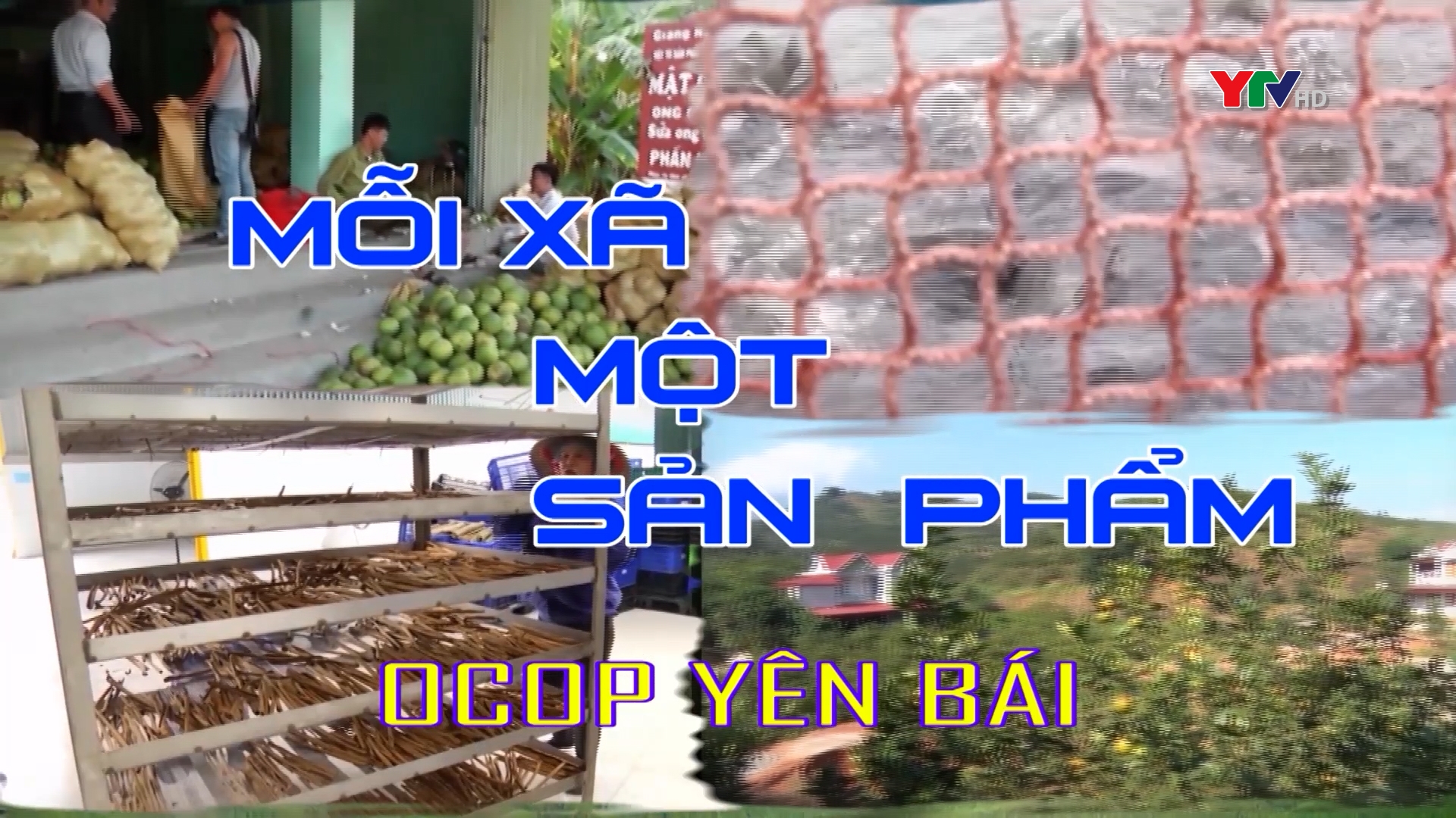 Xã Tân Thịnh xây dựng sản phẩm OCOP 3 sao tinh bột nghệ