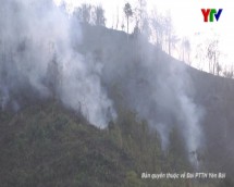 Xã Bản Mù huyện Trạm Tấu xẩy ra cháy rừng