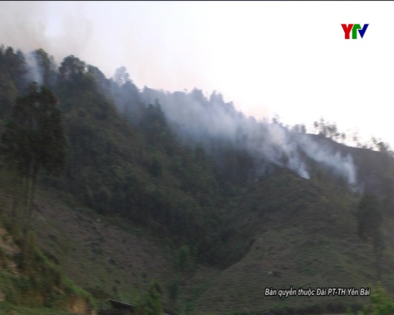 Huyện Trạm Tấu đã khống chế được cháy rừng tại xã Bản Mù