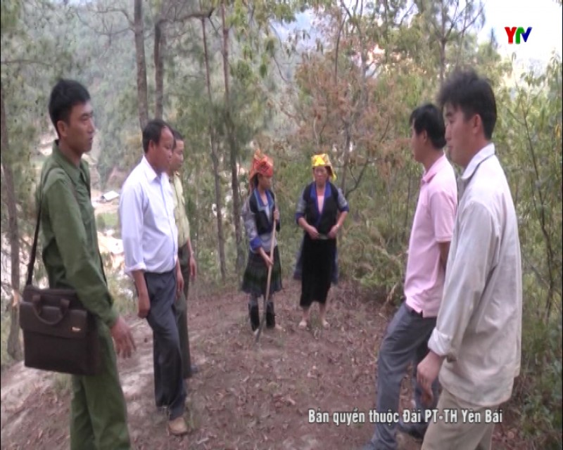 Nỗ lực của BQL rừng phòng hộ huyện Mù Cang Chải trong công tác quản lý bảo vệ rừng đầu nguồn