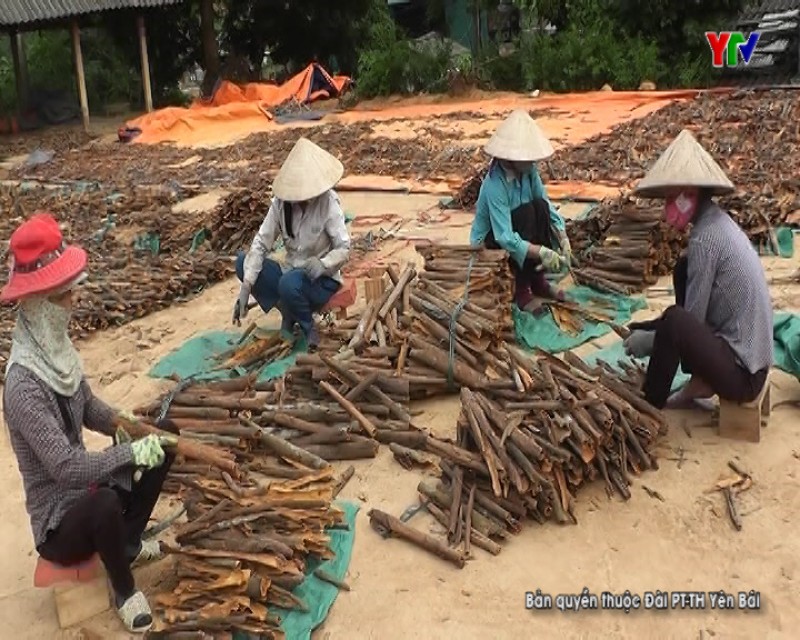 Hội Nông dân huyện Trấn Yên chung sức xây dựng Nông thôn mới