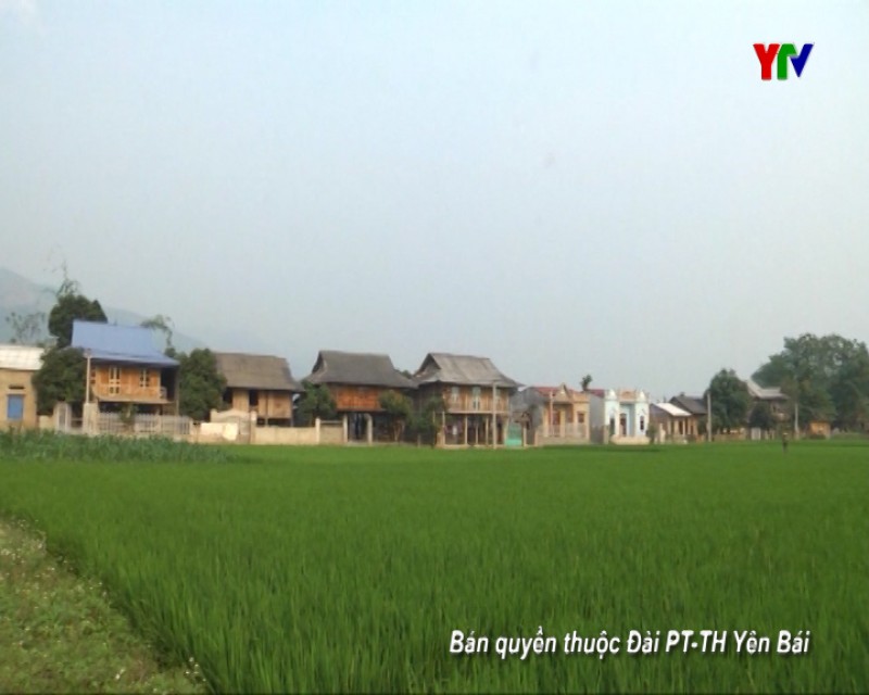 Thăm  làng văn hóa Ao Luông - Văn Chấn
