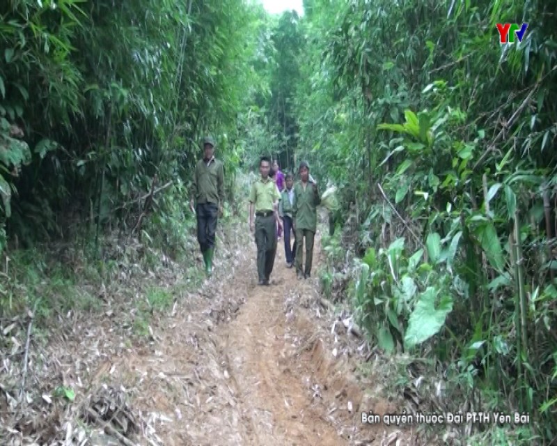 Huyện Văn Yên tăng cường các biện pháp phòng cháy chữa cháy rừng