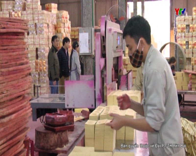 Công ty CP Lâm nông sản thực phẩm Yên Bái đạt doanh thu trên 70 tỷ đồng