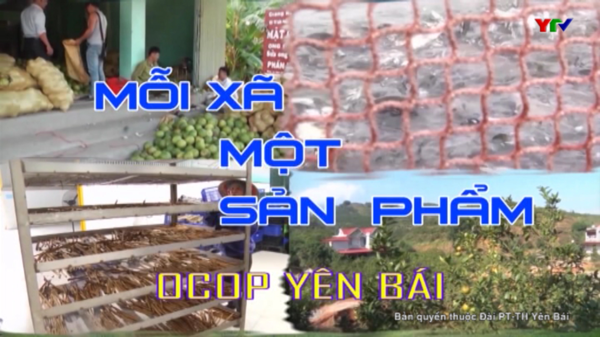 Những mô hình nuôi cá trên hồ Thác Bà ở xã Thịnh Hưng, huyện Yên Bình