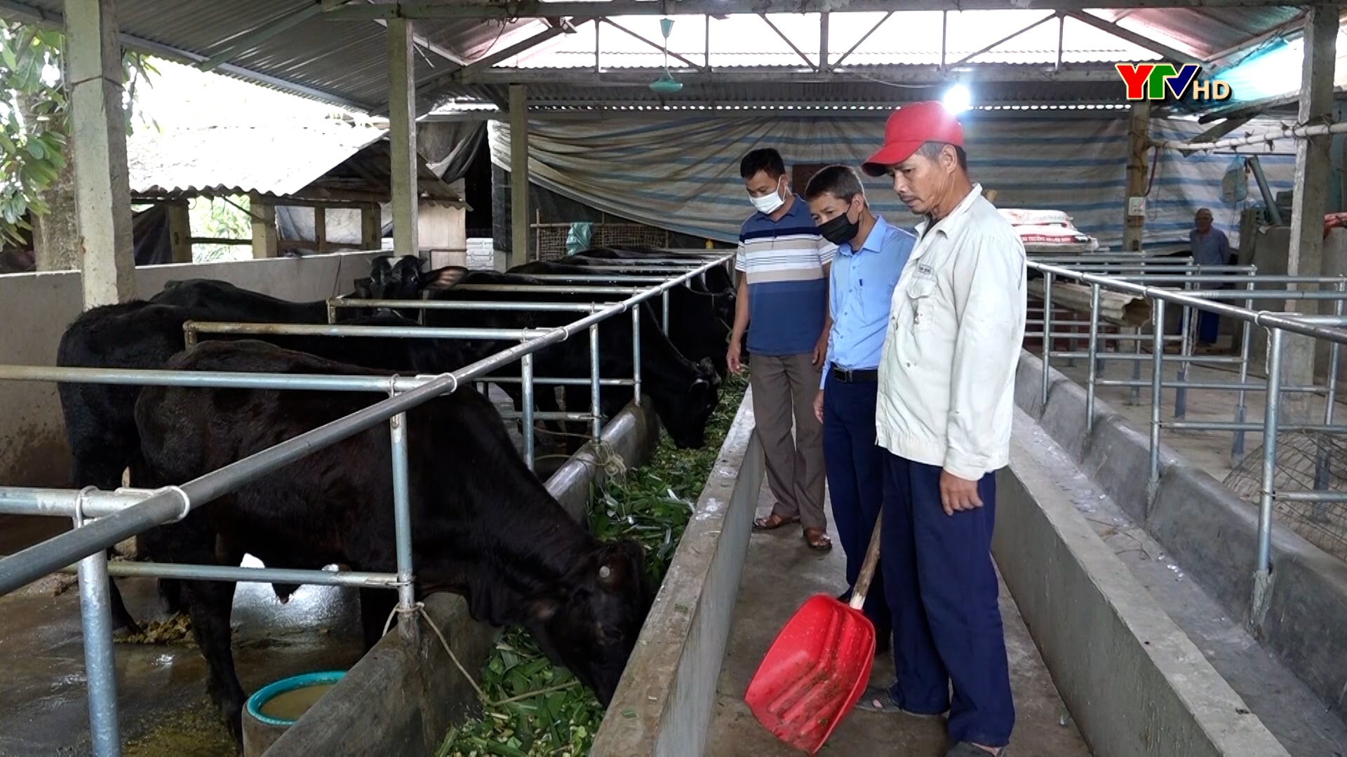 Văn Yên: Nghị quyết 69 của HĐND tỉnh tạo “cú huých” trong phát triển nông nghiệp