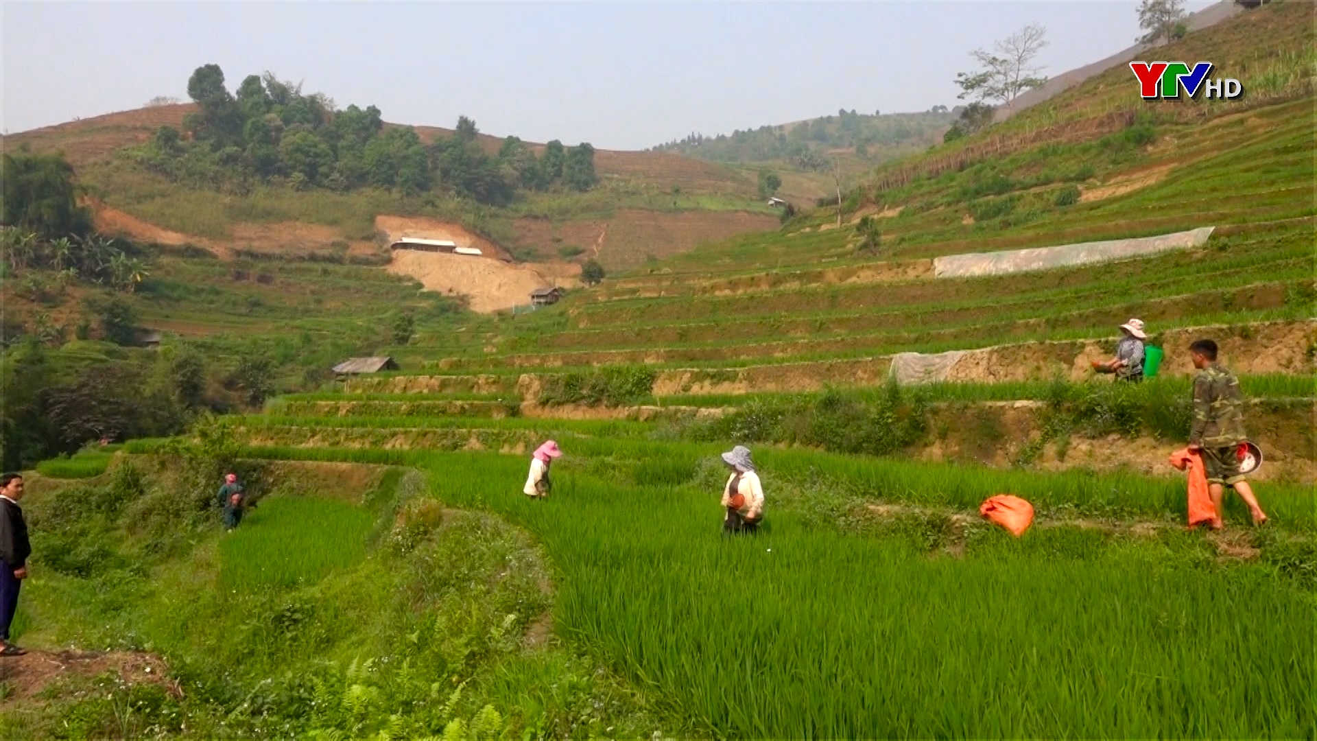 Mù Cang Chải phấn đấu giành vụ đông xuân thắng lợi