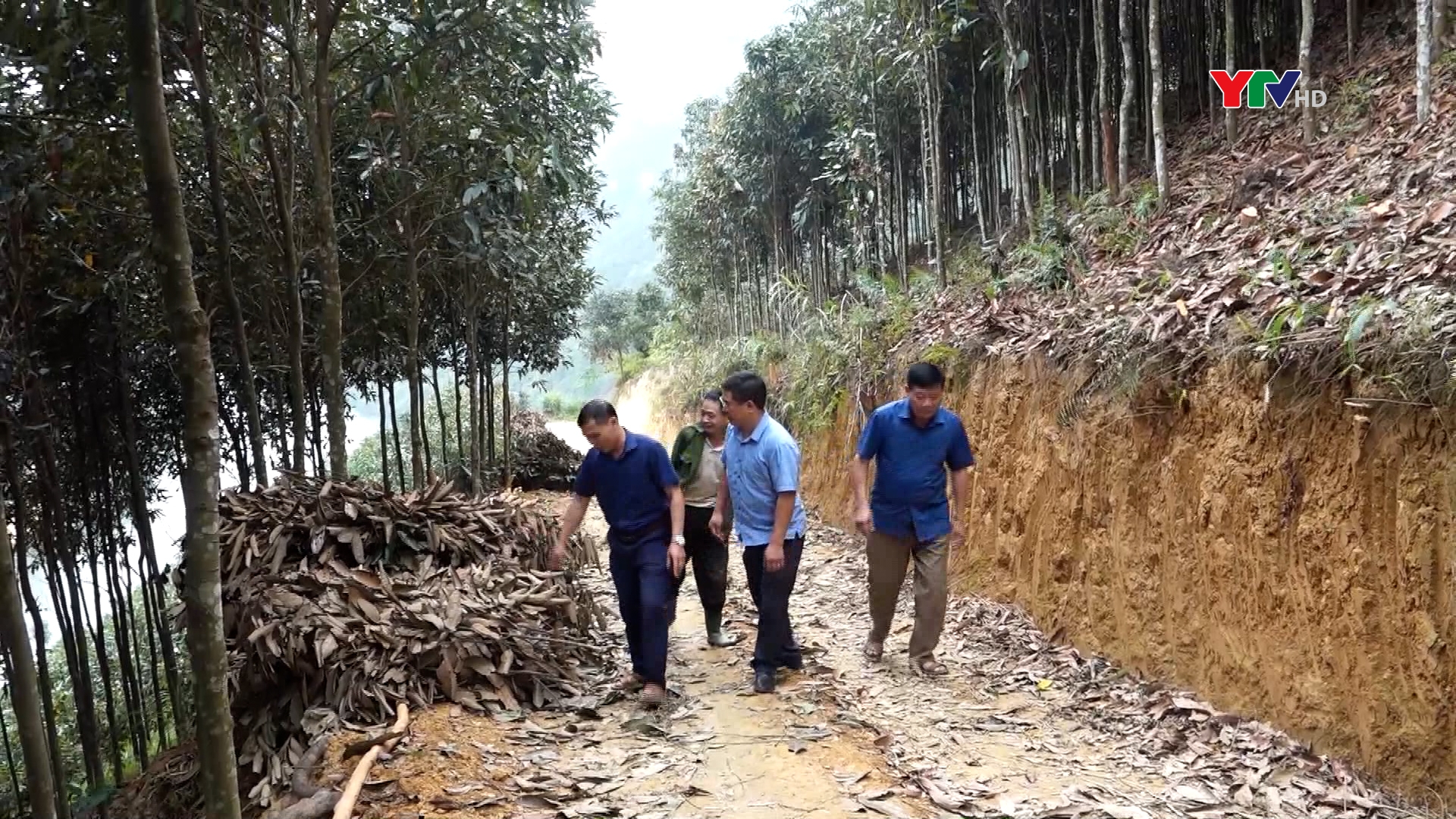 Nhân dân xã Đại Phác, huyện Văn Yên tích cực chủ động hiến đất làm đường