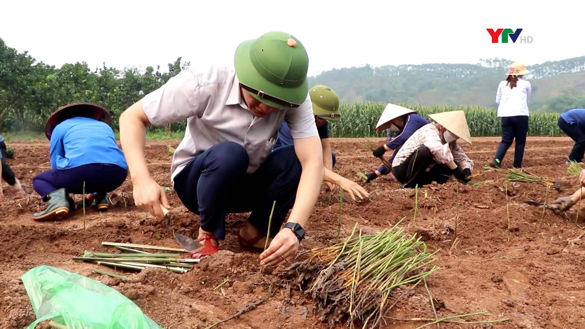 Đồng chí Phó Chủ tịch Thường trực UBND tỉnh Nguyễn Thế Phước trồng cây dâu tằm cùng nhân dân xã Minh Quân, huyện Trấn Yên