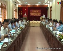 Huyện Văn Yên triển khai kế hoạch sản xuất vụ mùa năm 2017