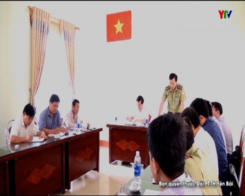 Đoàn công tác của tỉnh kiểm tra tiến độ triển khai Đề án trồng tre măng Bát độ tại huyện Yên Bình