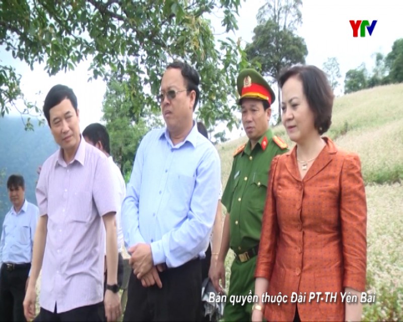Đồng chí Bí thư Tỉnh ủy kiểm tra, chỉ đạo công tác phát triển du lịch tại huyện Văn Chấn và Mù Cang Chải