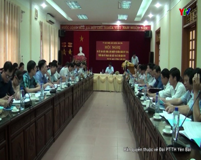 Huyện Văn Yên triển khai kế hoạch sản xuất vụ hè thu năm 2018