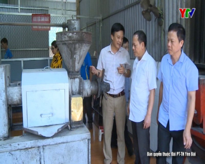 Đồng chí Phó Chủ tịch HĐND tỉnh Triệu Tiến Thịnh giám sát hoạt động của một số HTX tại huyện Lục Yên