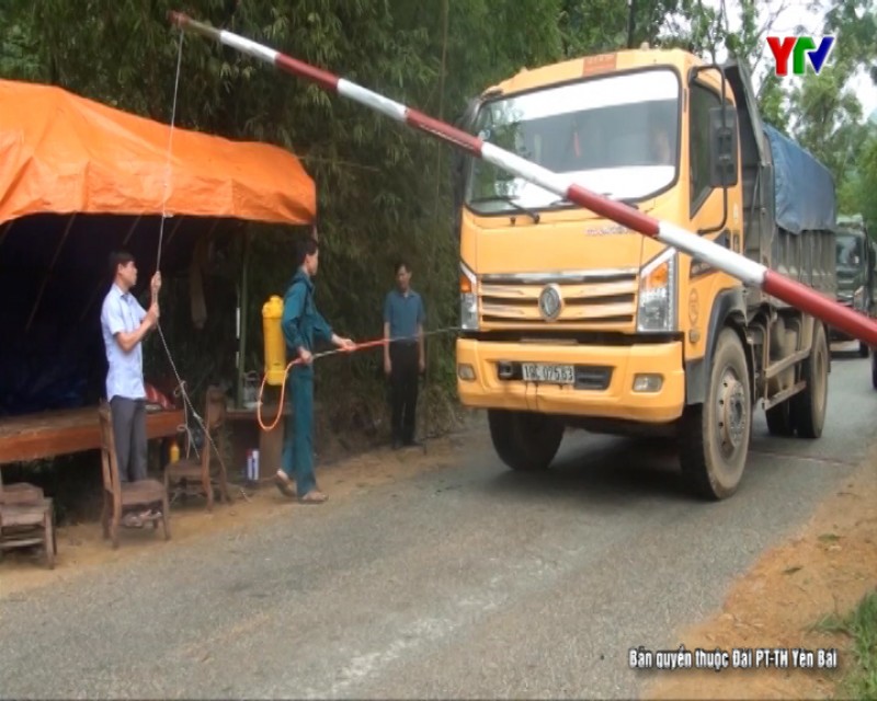 Huyện Lục Yên thành lập 11 chốt kiểm dịch tạm thời phòng chống dịch tả lợn châu Phi