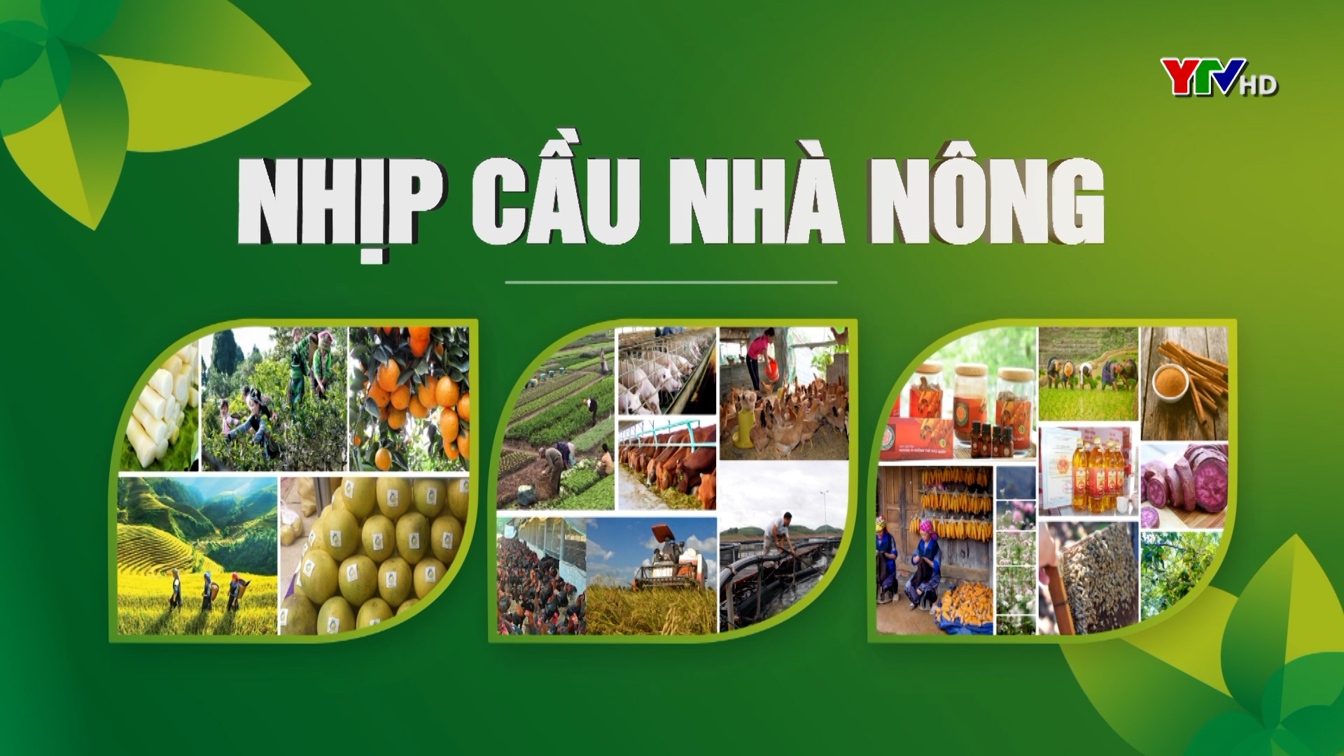 CM Nhịp cầu nhà nông: Khi nông dân làm du lịch