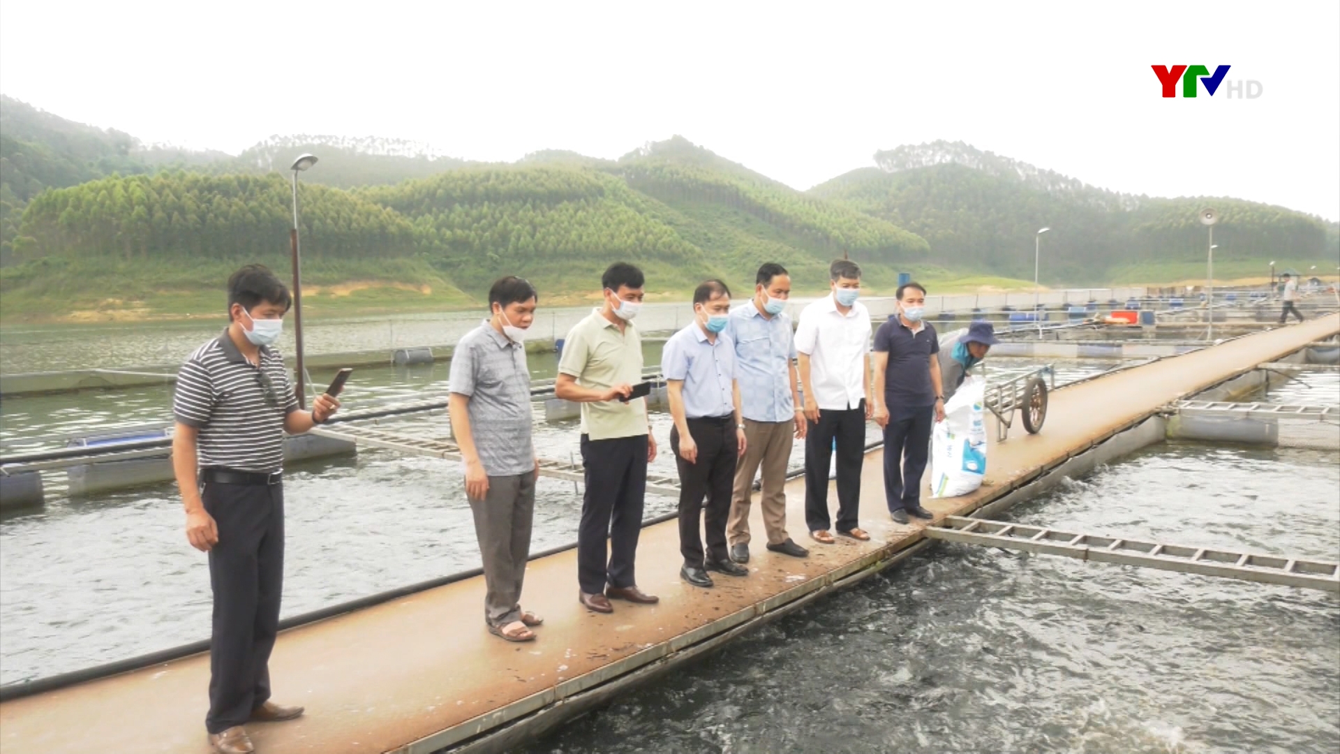 Huyện Yên Bình đẩy mạnh phát triển thủy sản theo hướng liên kết chuỗi giá trị