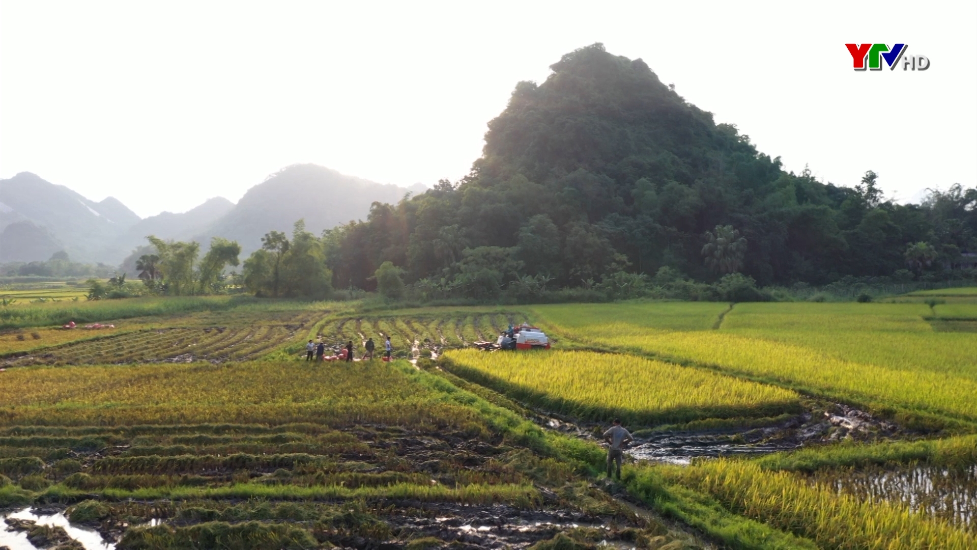 Huyện Lục Yên đẩy mạnh cơ giới hóa trong sản xuất nông nghiệp