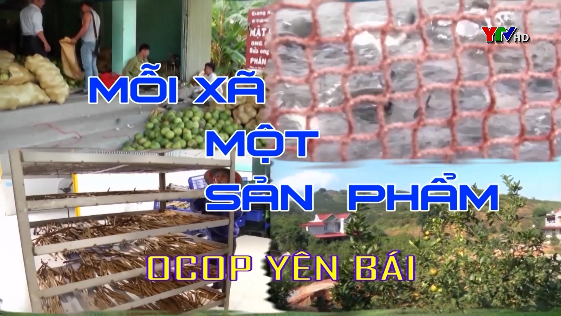 Xã Y Can, huyện Trấn Yên nâng cao chất lượng cho các sản phẩm OCOP