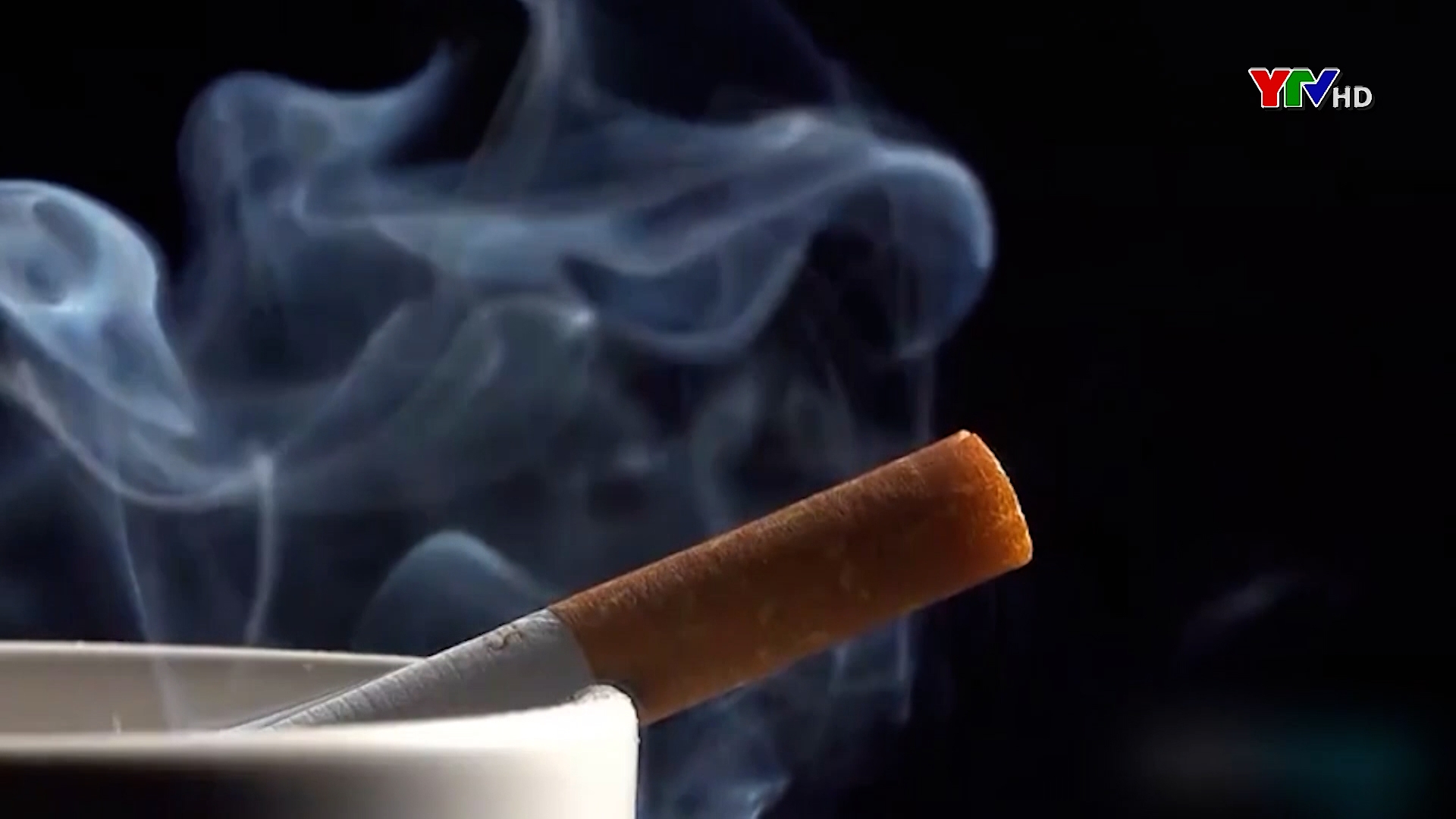 Phòng chống tác hại của thuốc lá - Vì sức khỏe và tương lai