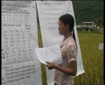 Huấn luyện hệ thống canh tác lúa cải tiến SRI tại Lục Yên
